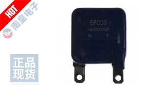 B72242L0421K102 图片