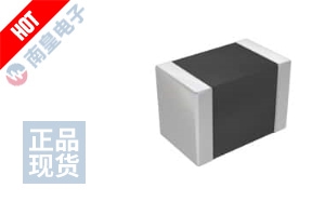 B72510E0250K062 图片