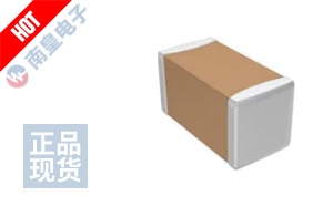 C0402C0G1C0R7W 图片