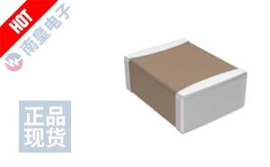 C3225Y5V1E106Z/5 ͼƬ