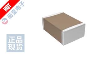 C4532C0G3F101K160KA ͼƬ