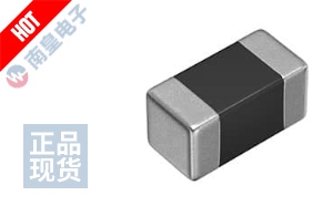 MAF1005GWZ102AT000 图片