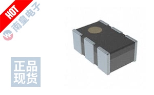 MEM2012SC101T001 ͼƬ