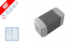 NTCG063JF103FTDS 图片