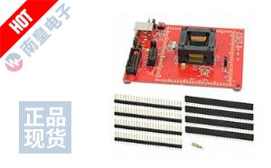 MSP-TS430PZ100AUSB 图片