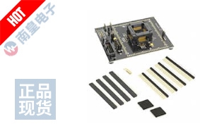 MSP-TS430PZ100C ͼƬ