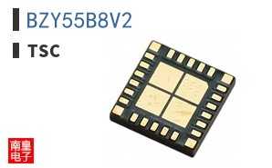 BZY55B8V2 ͼƬ
