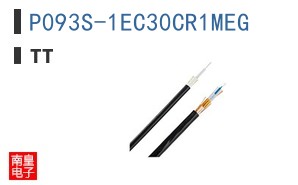 P093S-1EC30CR1MEG ͼƬ