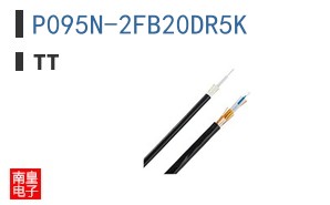 P095N-2FB20DR5K ͼƬ