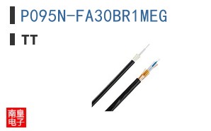 P095N-FA30BR1MEG ͼƬ