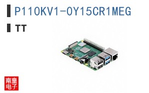 P110KV1-0Y15CR1MEG ͼƬ