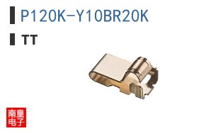 P120K-Y10BR20K ͼƬ