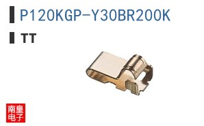 P120KGP-Y30BR200K ͼƬ