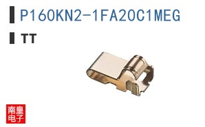 P160KN2-1FA20C1MEG ͼƬ