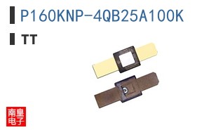 P160KNP-4QB25A100K ͼƬ
