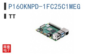 P160KNPD-1FC25C1MEG ͼƬ