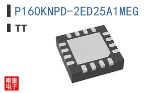 P160KNPD-2ED25A1MEG ͼƬ