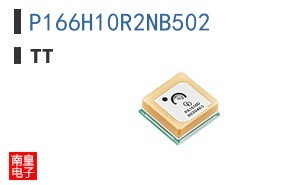 P166H10R2NB502 ͼƬ