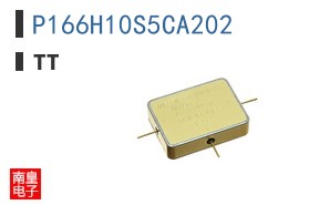 P166H10S5CA202 ͼƬ