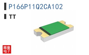 P166P11Q2CA102 ͼƬ