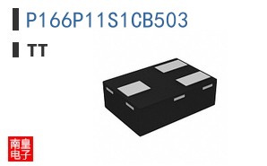 P166P11S1CB503 ͼƬ
