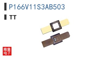 P166V11S3AB503 ͼƬ