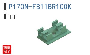 P170N-FB11BR100K ͼƬ