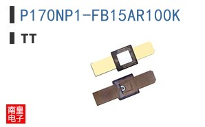 P170NP1-FB15AR100K ͼƬ