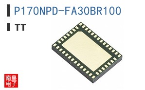 P170NPD-FA30BR100 ͼƬ