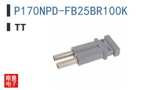 P170NPD-FB25BR100K ͼƬ