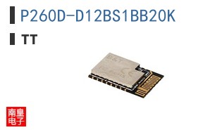 P260D-D12BS1BB20K ͼƬ