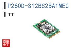 P260D-S12BS2BA1MEG ͼƬ