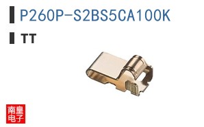 P260P-S2BS5CA100K ͼƬ