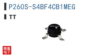 P260S-S4BF4CB1MEG ͼƬ