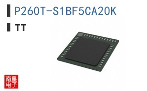 P260T-S1BF5CA20K ͼƬ
