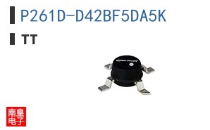 P261D-D42BF5DA5K ͼƬ