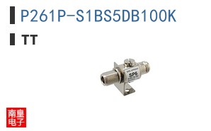 P261P-S1BS5DB100K ͼƬ