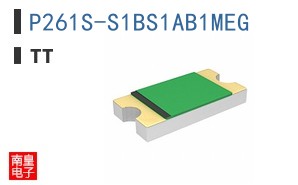 P261S-S1BS1AB1MEG ͼƬ