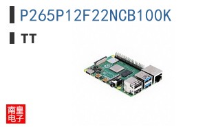 P265P12F22NCB100K ͼƬ
