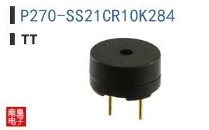 P270-SS21CR10K284 ͼƬ