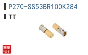 P270-SS53BR100K284 ͼƬ