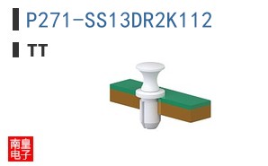 P271-SS13DR2K112 ͼƬ