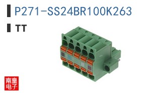 P271-SS24BR100K263 ͼƬ