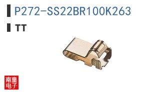 P272-SS22BR100K263 ͼƬ