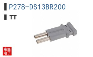 P278-DS13BR200 ͼƬ