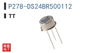P278-DS24BR500112 ͼƬ