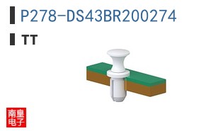 P278-DS43BR200274 ͼƬ