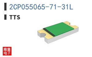 2CP055065-71-31L ͼƬ