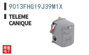 9013FHG19J39M1X ͼƬ