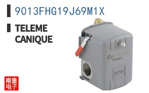 9013FHG19J69M1X ͼƬ